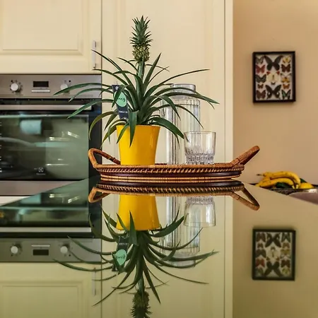 Nendriu Apartamentai 3